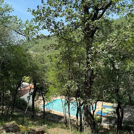 Maison Avec Piscine Chauffee Entre Mer Et Montagne Montauriol  Exterior foto